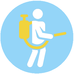 Carpet Cleaning
